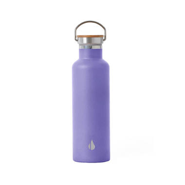 Contigo Stainless Steel 24oz Water Bottle Just $10.98 (Regularly $23)