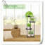 Support pour plante Mikyia