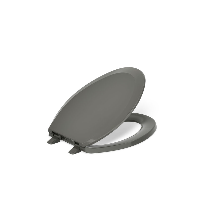 Lustra with Quick-Release Hinges Toilet Seat, Thunder Gray, Elongated