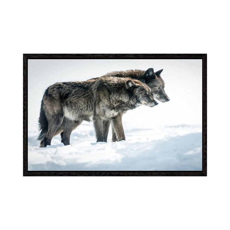 Side By Side by David Gardiner - Print on Canvas, Black Framed, 66.04 cm H x 45.72 cm W