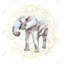 Elephant on Mandalas Pattern - Bohemian Canvas Home Decor