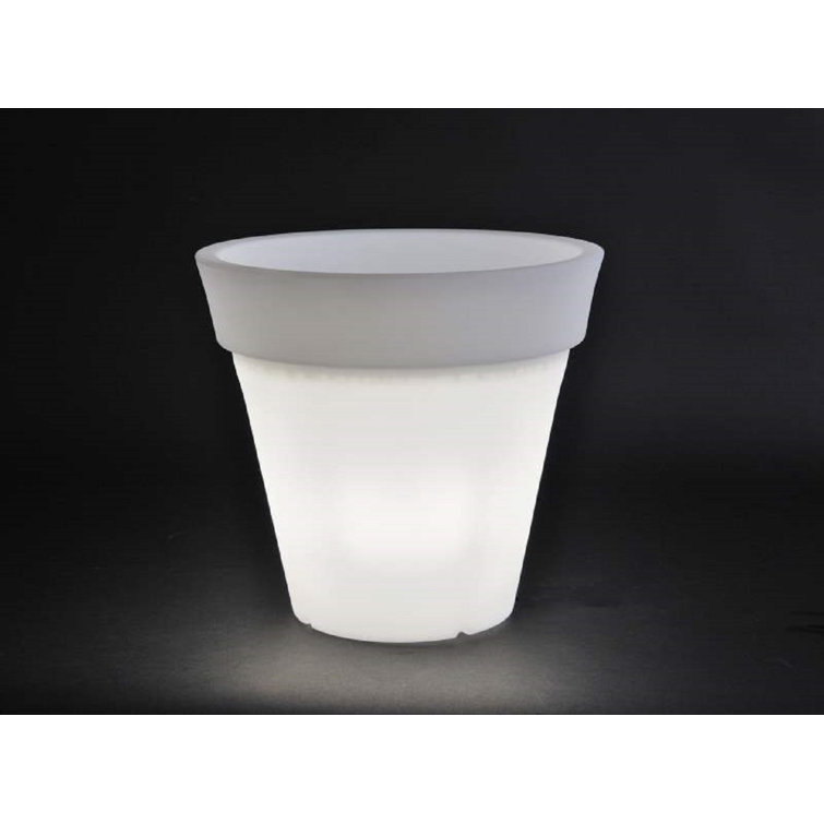 Ivy Bronx PEGASUS Conical Pot | Wayfair.co.uk