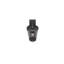 Evelore Outdoor Armed Sconce