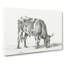 Grazing Bull by Jean Bernard - Wrapped Canvas Print-55366202