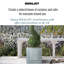 Stone Planter Box-314284909
