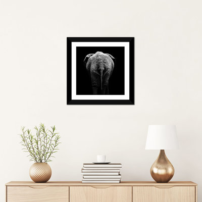 " Elephant In Black & White II " by Lukas Holas