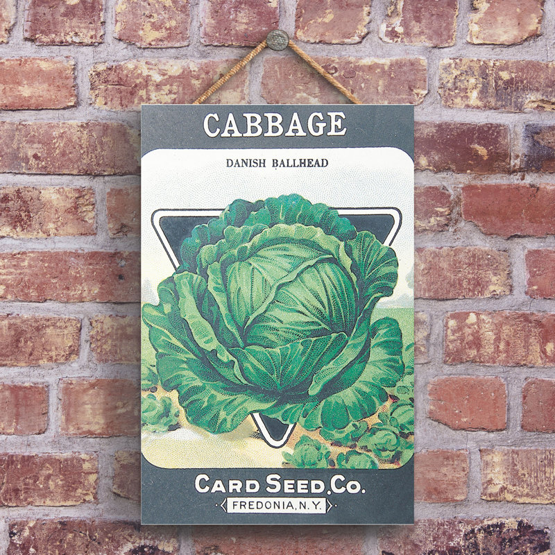 Card Seed Co Cabbage Vintage Retro Poster Design On Wooden Plaque