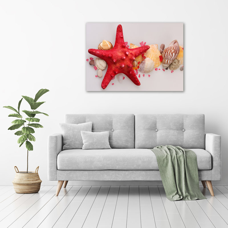 Starfish And Shells - Wrapped Canvas Print