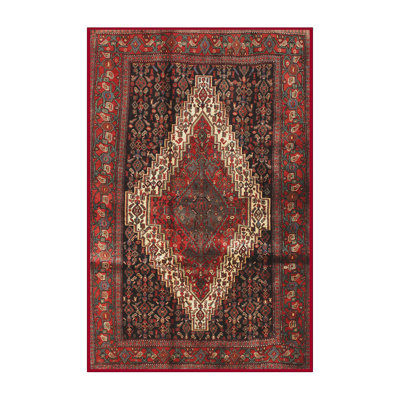 Hemke Oriental Indoor Rug