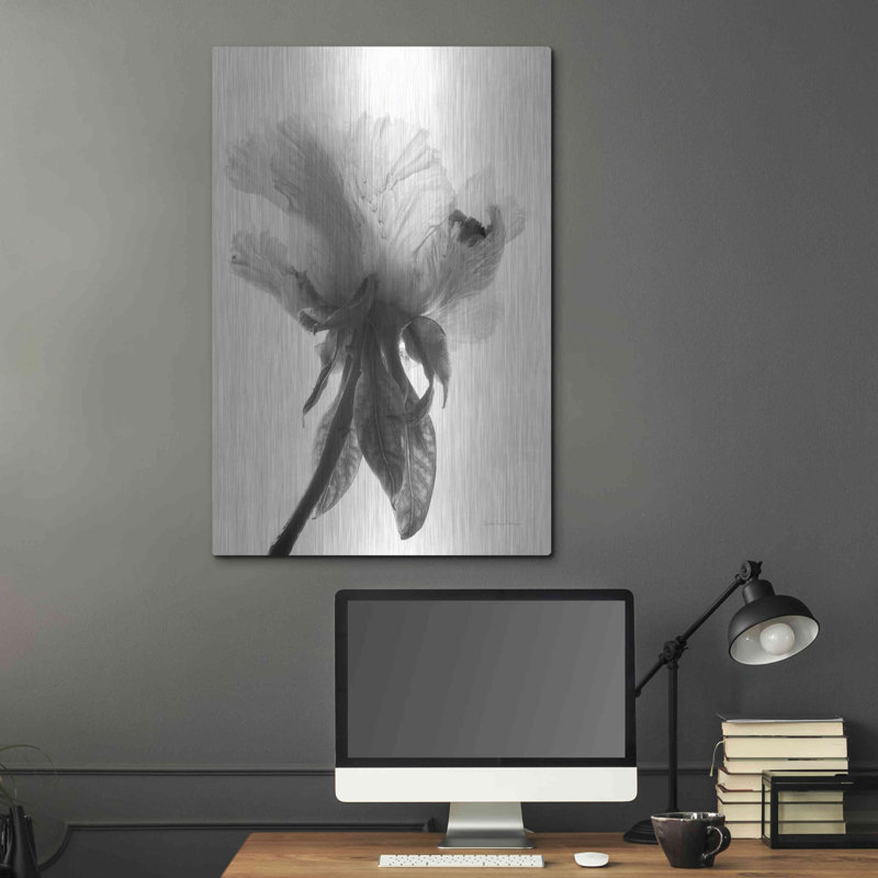 "Pivoine translucide VIIBW" par Debra Van Swearingen, H 36 po x l 24 po