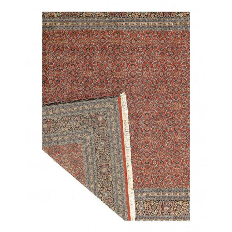 Robun Oriental Area Rug in Rust
