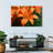 Harnek Orange Lily Flowers-108906439