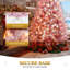 6ft H Lighted Artificial Pine Christmas Tree