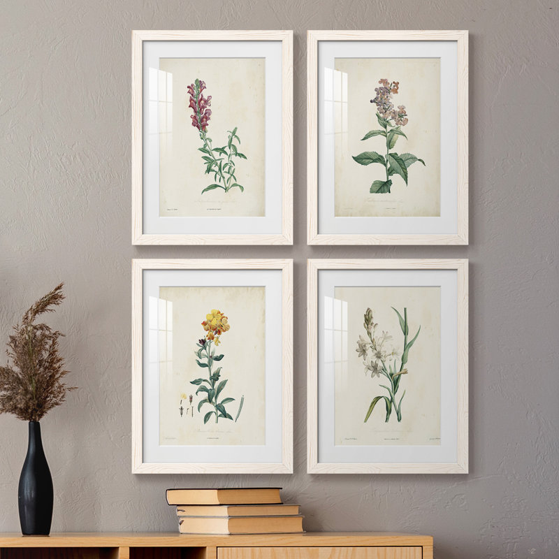 Traditional Botanical I - Ensemble de 4 peintures encadrées, H 37,5 po x l 110 po x P 1,5 po, Cadre blanc