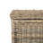 Elijah 30.7" Wicker Storage Trunk-842283108