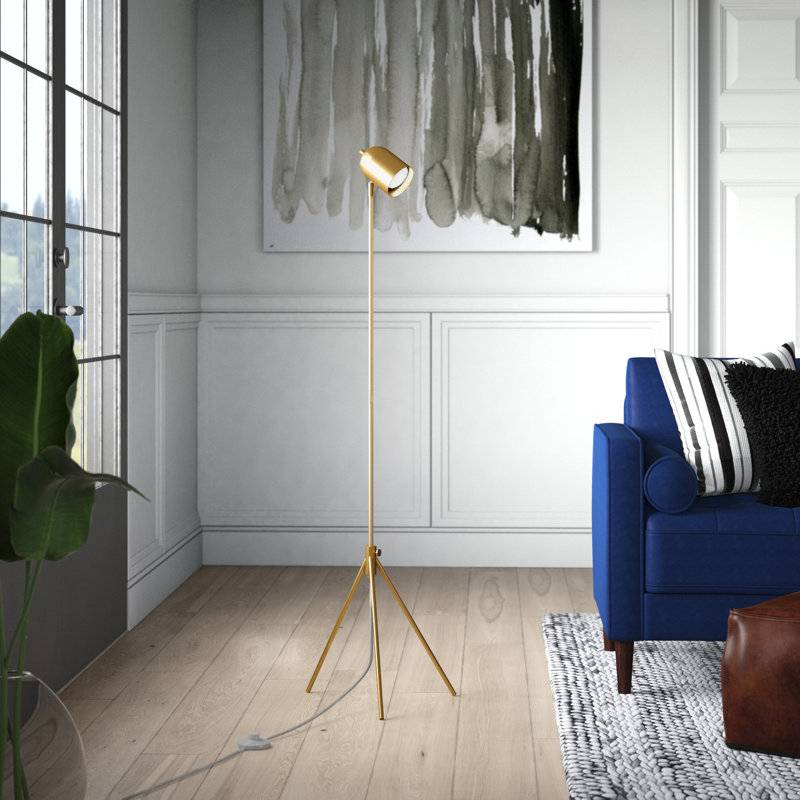 Alexa 56'' Tripod Floor Lamp, Brass