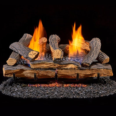 Dual Fuel Ventless Fireplace Logs Set with Remote Control, Use with Natural Gas or Liquid Propane