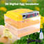 Symple Stuff Chasteen Egg Incubator