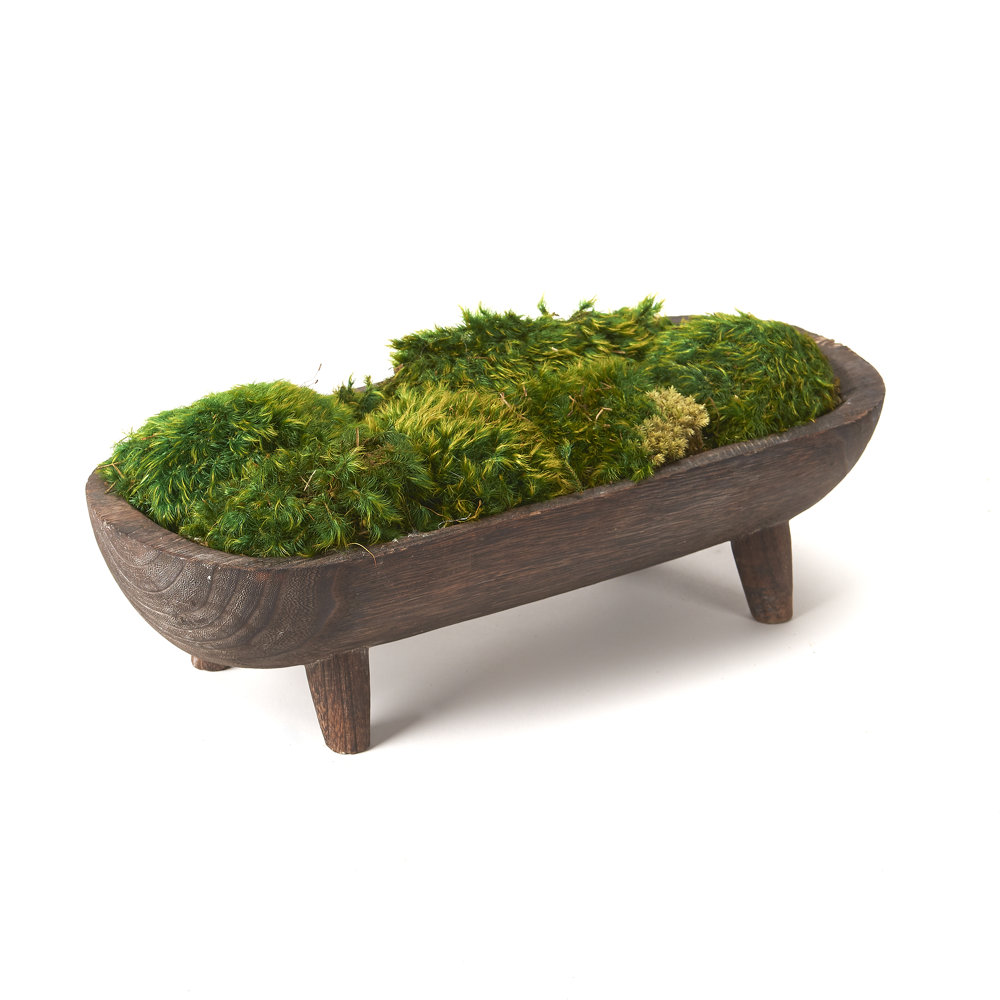 5'' Faux Moss Plant in Planter