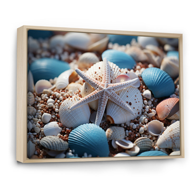 Coastal Seashell Symphony - impression, H 30 po x l 40 po x P 1,5 po, Cadre naturel flottant
