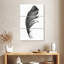 Plume noire-956775116