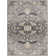 Biarni Oriental Indoor Rug