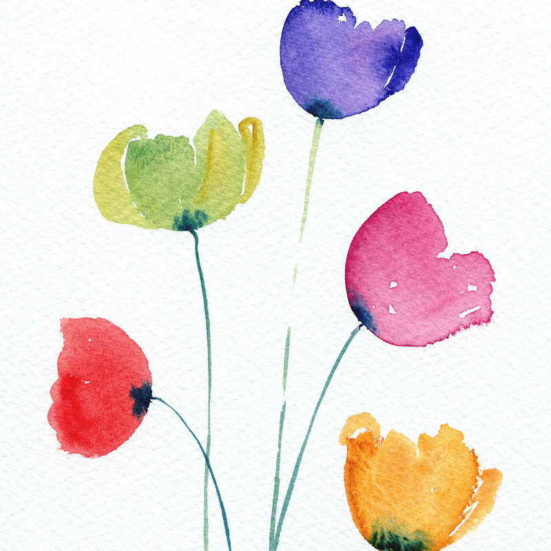 Ensembles de housses de couette DiaNoche par Amanda Hawkins - Coquelicots noirs 2