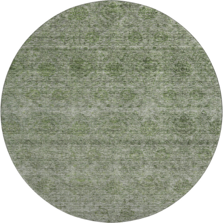 Premium Machine Washable Melvin AMF1170 Global Rug