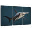 Grand requin marteau-923045664