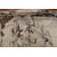 Tapis oriental à motif de teinture végétale noué à la main 9 x 12