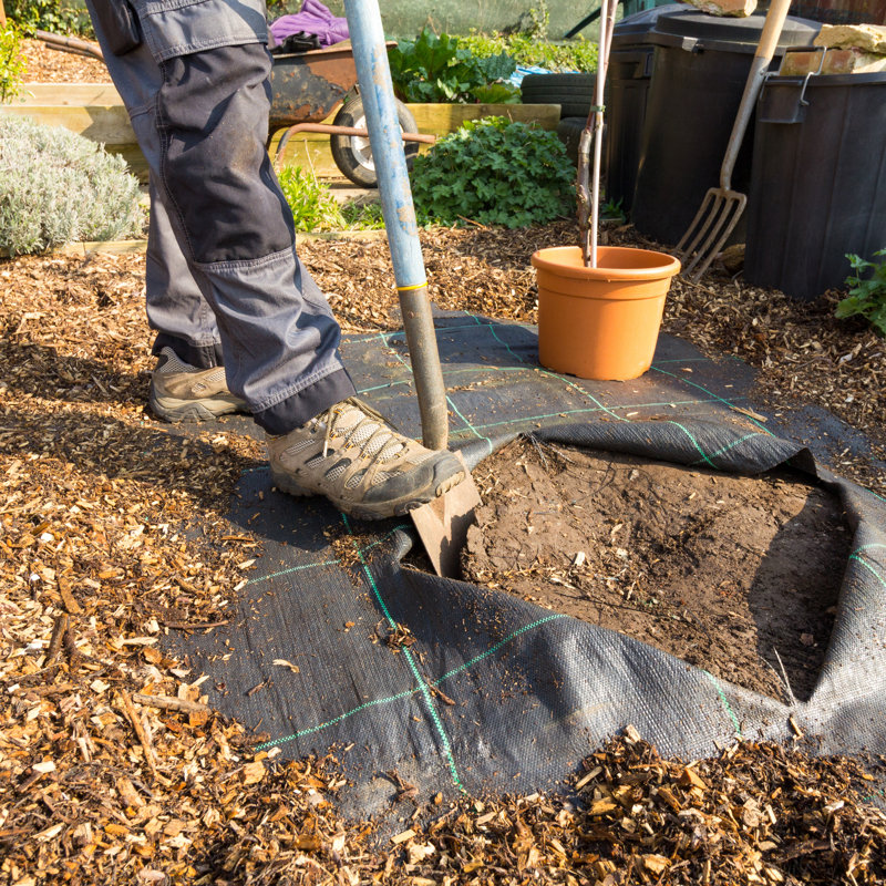 Weather Resistant Weed Control