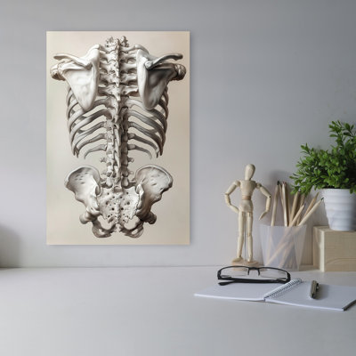 Human Skeleton Anatomy Realistic Abstract Contemporary Wall Art