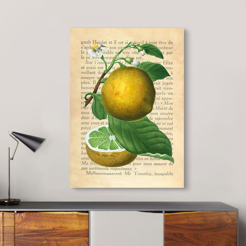 Grapefruit, After Redouté by Remy Dellal - Wrapped Canvas Art Prints, 100cm H x 70cm W x 4cm D