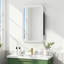 Armoire à pharmacie avec miroir mural décoratif en fer blanc l 20 po x H 30 po-1156112646