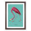 Flamingo in Teal by John Audubon - Framed Print-62801679-62801684