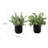 11'' Faux Plant in Melamine Pot