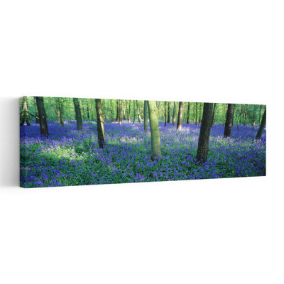 Bluebells in a forest Charfield Gloucestershire England by Peter Adams - 1 Piece Wrapped Canvas Panoramic Wall Art