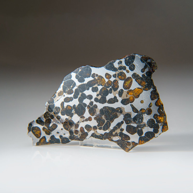 Véritable tranche de météorite Brenhama Pallasite (0,19 lb)