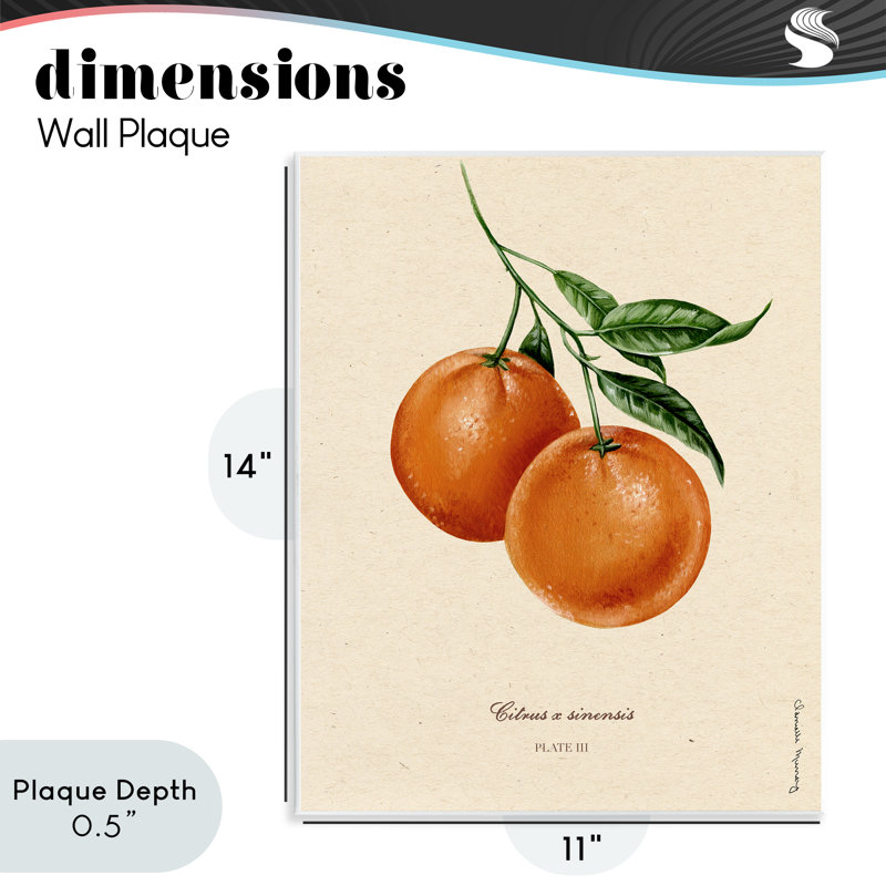«Orange Fruit Portrait», plaque murale par Danielle Murray