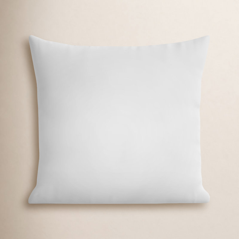 Coussin en duvet de qualité supérieure Steves, 21 po x 21 po