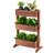Indoor / Outdoor Elevated Planter