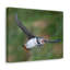 No Frame Print on Canvas-410385556