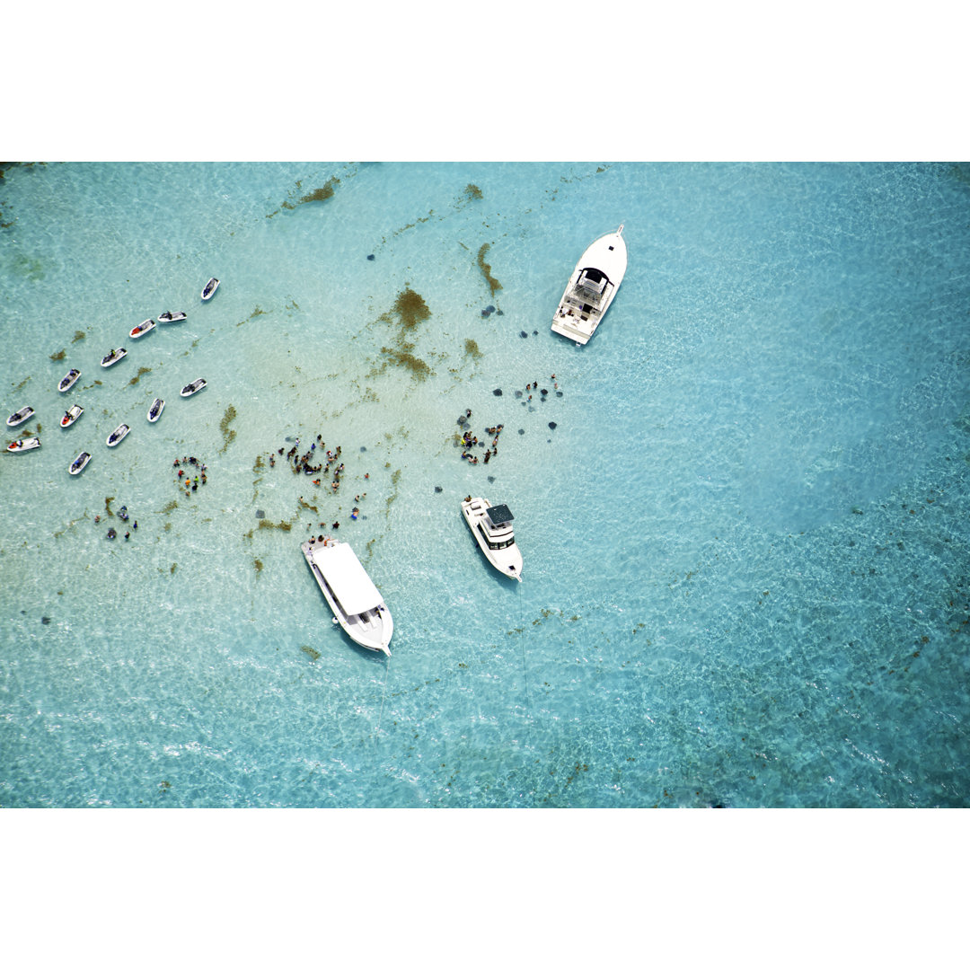 Stingray City auf Grand Cayman von JodiJacobson - Leinwanddrucke aufgerollt