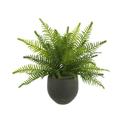 Outdoor UV-Rated Fern in Fiberstone Pot