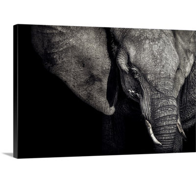 1x Piet Flour - Wrapped Canvas Photograph