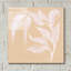 «Leaf Study V» par Chris Paschke-946057350