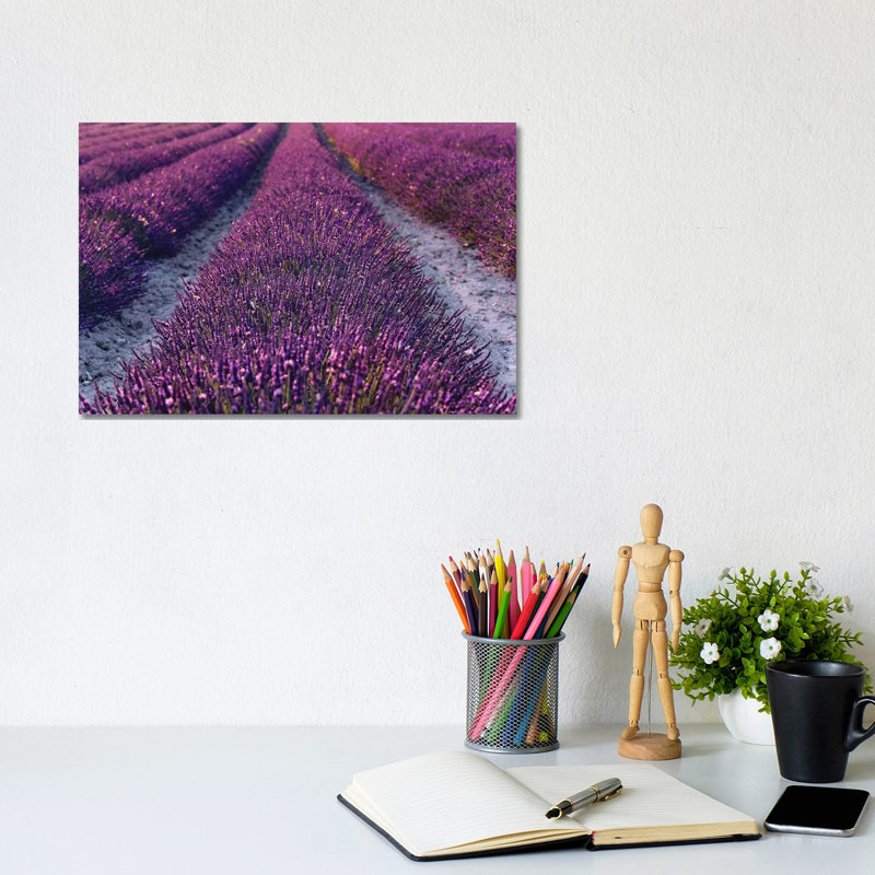 Lavender Symphony II by Stefan Hefele - Wrapped Canvas Print, 20.32 cm H x 30.48 cm W
