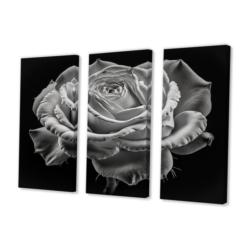 «Blossoming White Rose on Black III», 3 impressions sur toile tendue, H 28 po x l 36 po x P 1 po