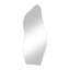 Clear Irregular Stone Shaped Frameless Wall Mirror Float Glass Full Body Viewing Modern Decorative Wall Mirror-65495119