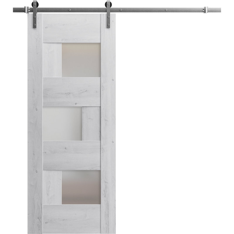Ensemble de porte de grange robuste en verre givré de 6,6 pi Sete, 30 po x 84 po, Blanc